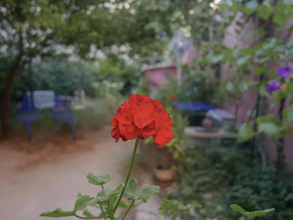 Bnb Vieux Port Panier Jardin Bed and Breakfast Marseille Frankrig