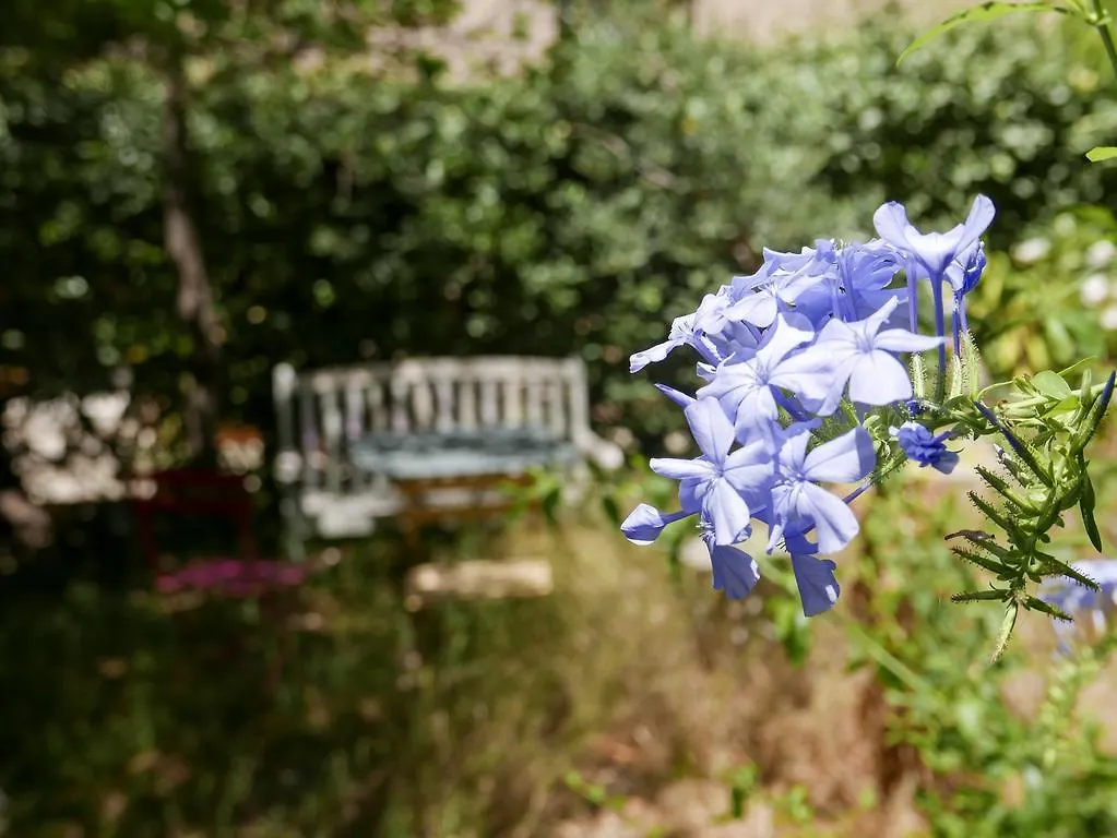 Pensjonat Hotel Vieux Port Panier Jardin Marsylia