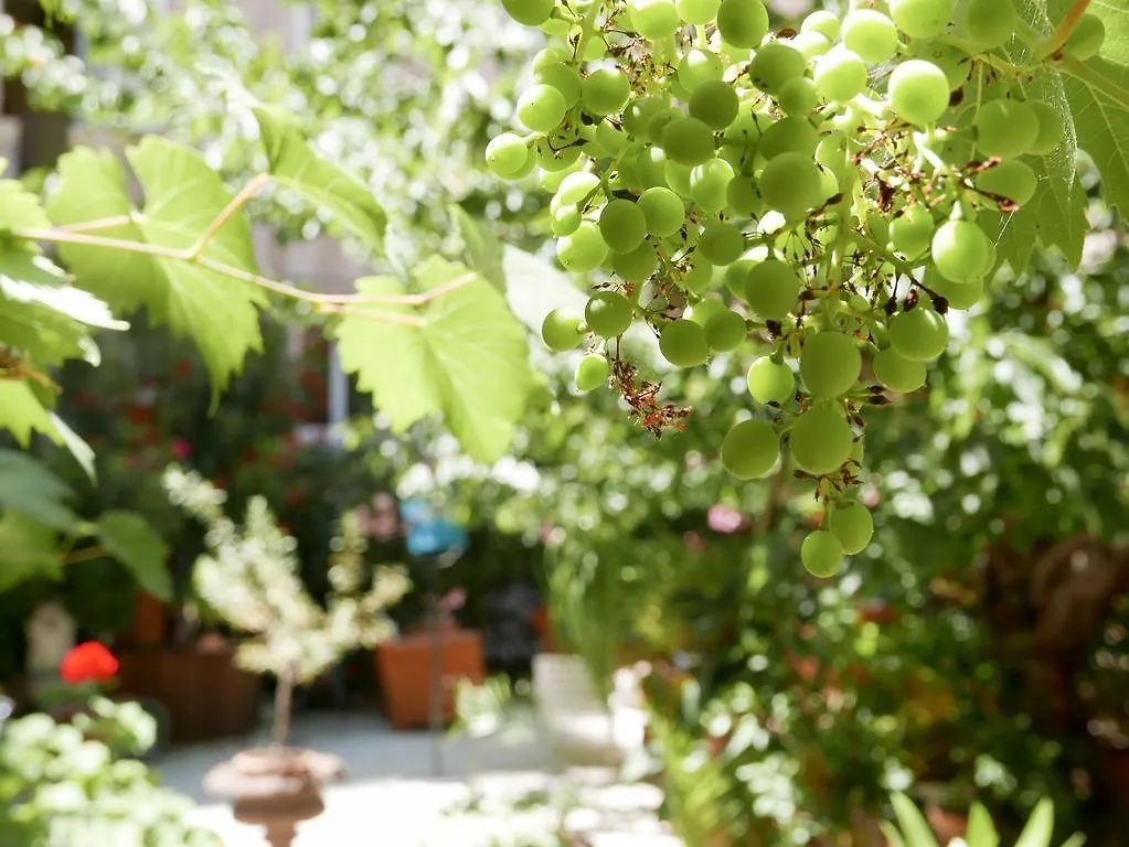 Vieux Port Panier Jardin Hotel Marseille Guest house