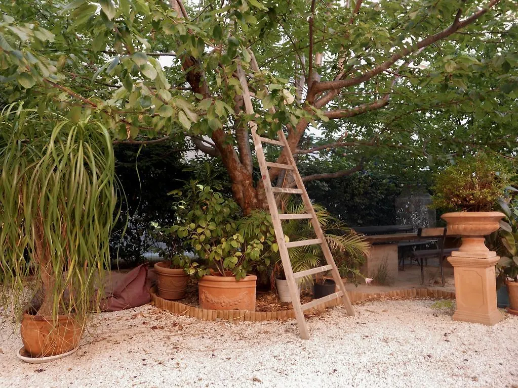 Vieux Port Panier Jardin Hotel Marseille France