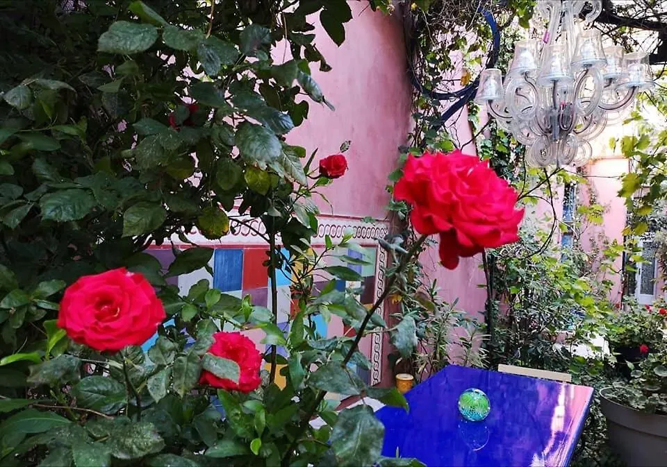 Guest house Vieux Port Panier Jardin Hotel Marseille