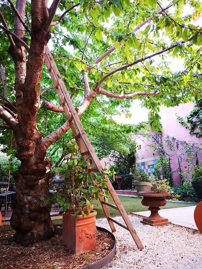 Vieux Port Panier Jardin Hotel Marseille Guest house